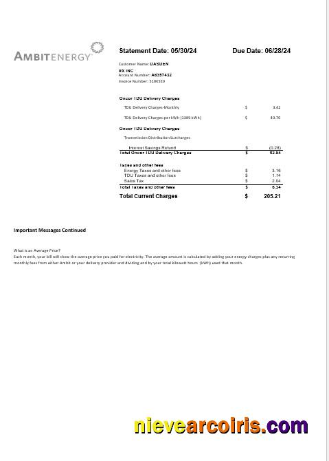 USA Ambit Energy business utility bill 3 page